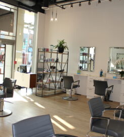 Robert Dunne Salon