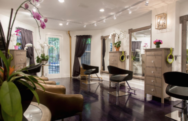 Joseph Battisti Salon