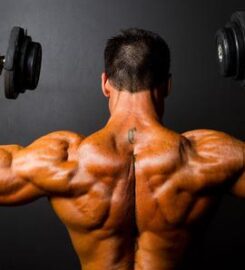 Olympia Muscle & Fitness