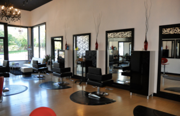 The Phoenix Salon