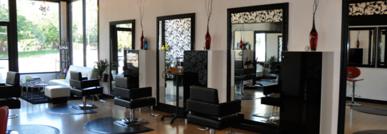 The Phoenix Salon