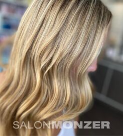 SALON MONZER